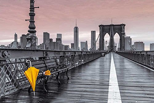 empireposter Frank, Assaf - Brooklyn Bridge Umbrella - Maxi Poster Druck - Größe 91,5x61 cm