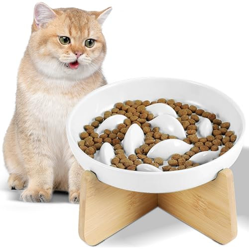 Swetfela Raised Cat Bowl, Ceramic with Stand Raised Dog Bowl, Slow Feed Cat Bowl, for Feeding and Drinking Cat Food Bowl for Cats and Small Dogs(White)