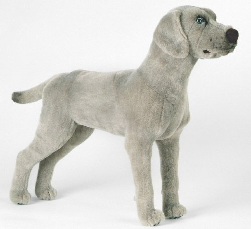 Kösener 5510 - Weimaraner stehender Hund 39 cm hellgrau
