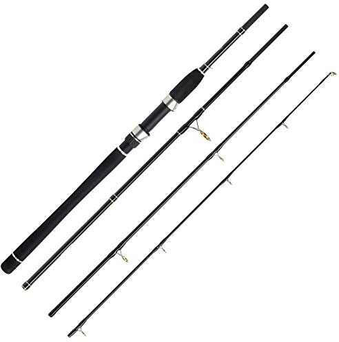 WFT Sea Dart Dorsch 4pcs. 2,16m 40-160g Fischrute