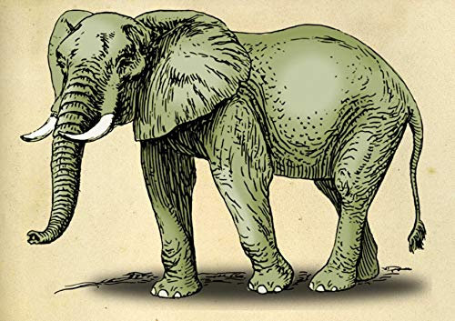 hansepuzzle 84658 - weißer Elefant Puzzle 130 Teile - Hintergründe Puzzle mit hochwertiger Aufbewahrung: Kartonbox und wiederverschließbarem Beutel - Format 28,7 × 20 cm