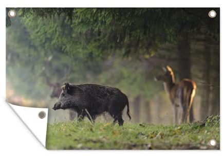 MuchoWow Outdoor-Poster Poster Wanddeko draußen Deko Garten Gartenposter 60x40 cm Schwein - Hirsch - Wald
