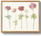 MHARTK66 Vintage Botanisch Leinwand Bilder mit Rahmen Holz, 30x40 cm Wandbilder Wohnzimmer Anemonen Windblumen Bild Aesthetic, Blumen Illustration Wanddeko Schlafzimmer Badezimmer Büro Zimmer
