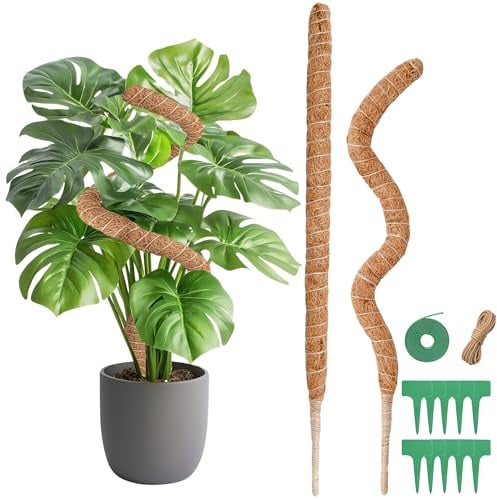 Tuteur Plante Grimpante, 2x60cm Tuteur Monstera pour Plantes