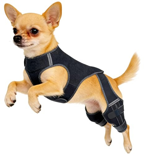 Bein Orthese Hund - Kniebandage Für Hunde Hinten, Verstellbare Knie Manschette Mit 4 Metall Stabilisatoren, Hüftbandage Für Hunde, Für Spaziergänge, Wanderungen, Training, Outdoor Aktivitäten, Park