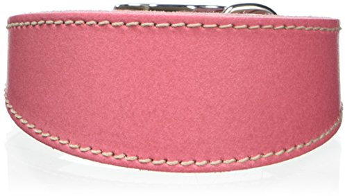 BBD Pet Products Hundehalsband, italienisches Grau, Einheitsgröße, 1,3 x 20,3 cm bis 25,4 cm, Rosa