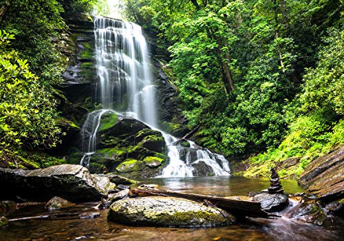 wandmotiv24 Fototapete Natur-wasserfall Bach Dschungel, XXL 400 x 280 cm - 8 Teile, Wanddeko, Wandbild, Wandtapete, Urwald, Dschungel, Tropen M1066