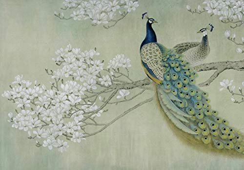 wandmotiv24 Fototapete Pfau Weis Blüten Zweig Betonwand, XXL 400 x 280 cm - 8 Teile, Wanddeko, Wandbild, Wandtapete, Tiere Vogel Natur Baum Wand M4688