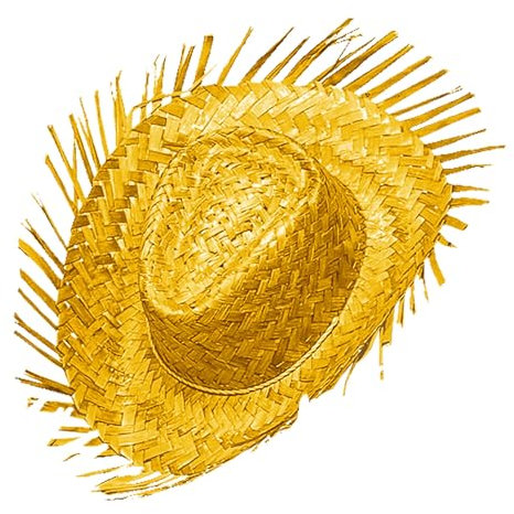 W WIDMANN MILANO Party Fashion - Sombrero de paja gringo, tocado, accesorio para disfraces de carnaval