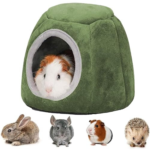 Qanye Casa Invernale per Piccoli Animali Domestic, Casetta per Criceti, Cuccia per Piccoli Animali per Criceti, con Anello per Appendere, per Criceti, Cincillà, Porcellini D'India (Verde)