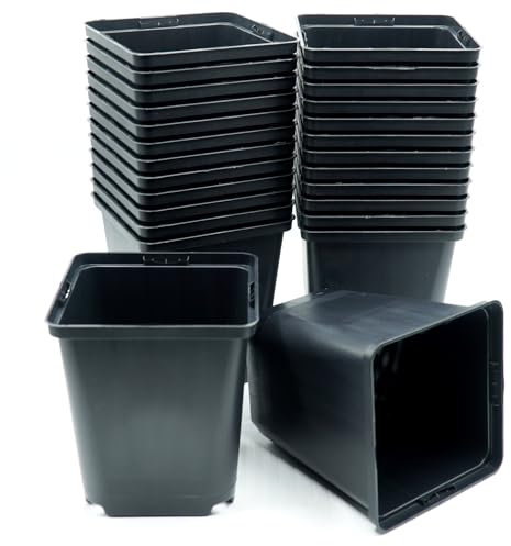 samenfritze 25 x Anzuchttöpfe 11x11x12 cm