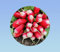 500 graines radis 18 jours demi long - radis rouge - croissance rapide