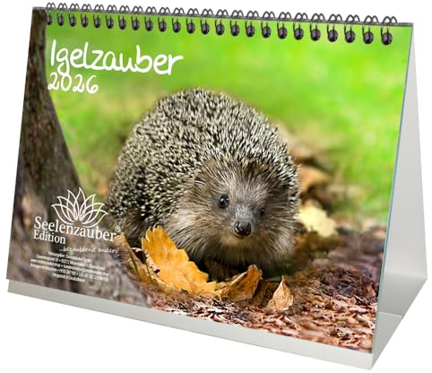 Igelzauber DIN A5 Tischkalender für 2026 Igel - Seelenzauber