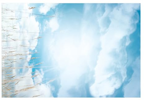 TOPPERFUN Leichter Fotohintergrund aus Beschichtetem Papier mit Blauem Himmel und Weißen Wolken für Fotografie und Party Events als Dekorativer Hintergrund