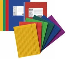 Landré 100050583 Geschäftsbücher, Registerbücher, Notizbücher Uws+Normal Diarie Folio A4 40 Blatt liniert sortiert