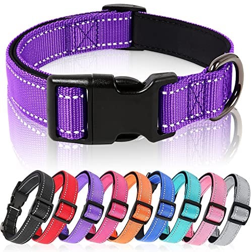 HEELE Collier Chien, Collier Réfléchissant pour Chien, Collier en Néoprène Doux, Rembourré et Respirant en Nylon, Ajustable pour Les Chiots Petits Moyens et Grands Chiens, Violet, M