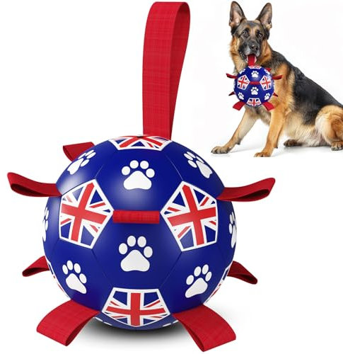 HETOO Interactive Dog Football Toys with Grab Tabs, Durable Dog Water Balls for Small Medium Breed, Indoor & Outdoor Flag Style (8 Inch)