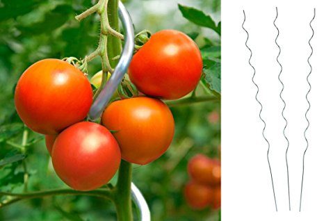 Unbekannt 20 Stück Tomatenspiralstab 180cm Tomaten Spiralstab Pflanzstab Pflanzspiralstab