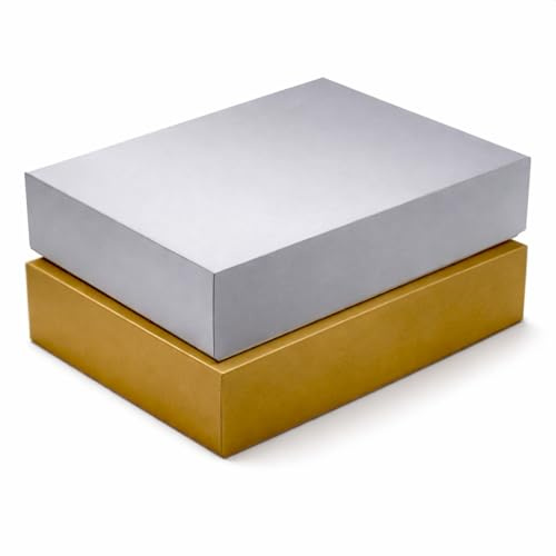 NEUSER PAPIER Geschenkbox mit Deckel DIN A4 – Aufbewahrungsbox Karton Gold und Silber bezogen – Geschenkkarton Schachtel stapelbar 302 x 213 x 70 mm, 10 Stück