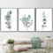Pei-wall art Wandbilder, 3 Stück, 50 x 70 cm, rahmenlos, Aquarell, botanisch, Eukalyptus, Blumen, grünes Blatt, Poster, Wandkunst, Bilder für Wohnkultur