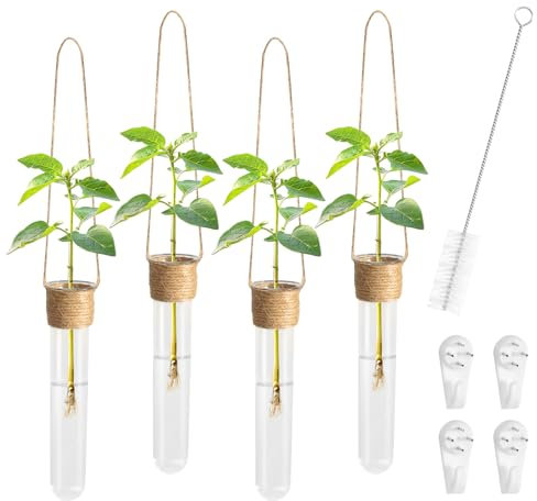 prota Tubo de Ensayo Hidropónico Jarrón de Tubo de Ensayo, Jarrones de Vidrio Hidropónico Pared, Estación de Propagación de Macetas de Vidrio para Plantas Hidropónicas, Esquejes, Oficina
