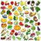 59 imanes de Frutas y Verduras para niños pequeños, Aprendizaje Preescolar