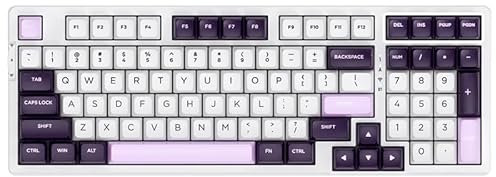 VGN V98Pro V2 Gaming Tastatur, Crystal Wine - Blackcurrant (US)