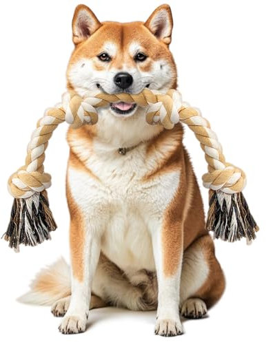 Ycozy Corde de Jouet Chien Indestructible 66cm/4 Nœuds Corde Chien Moyenne/Petite 100% Coton Jouets à Mâcher Chiots Jouet Interactif pour Nettoyage des Dents