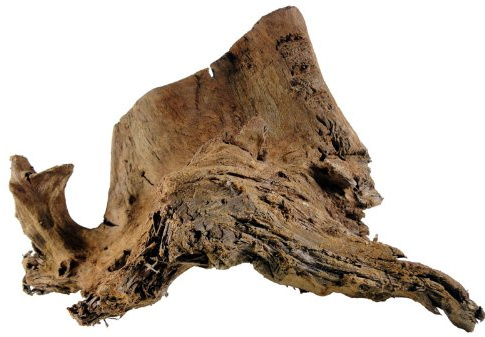 Mangrovenwurzel 30-40 cm, Dekoration für Aquarium und Terrarium