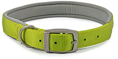 Ancol Padded Viva Collar with Buckle Lime 55 - 63 cm Size 8 XXL
