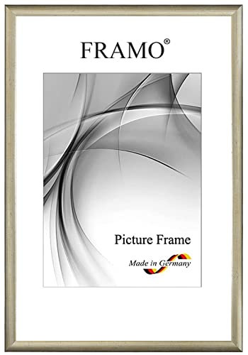 Framo Marco de fotos de madera estrecho, 30 x 46 cm, de madera maciza, plata antigua, color y tamaño a elegir, marco para pósteres, rompecabezas, collage de fotos N°075
