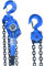 Husar Winch Treuil à chaîne 3T 6M avec Crochet Robuste, chaîne entièrement galvanisée, capacité de charge 3000 kg (6600lbs) Treuil manuel, chaîne de 6 metre, ascenseur de bloc de chaîne, Bleu