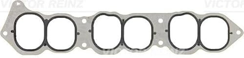 Reinz 71-41239-00 Dana