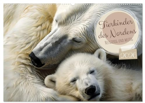 Tierkinder des Nordens (Wandkalender 2026 DIN A2 quer), CALVENDO Monatskalender: Neugierig, mutig und verspielt (CALVENDO Tiere)