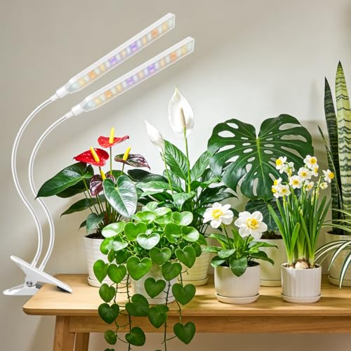Kullsinss Clip-on Grow Lights for Indoor Plants, 114 LEDs Full Spectrum | Plant Grow Light with Red Blue Yellow White LEDs, Timer & Dimmable, White 2-Gooseneck Growing Lamp for Seed Starting