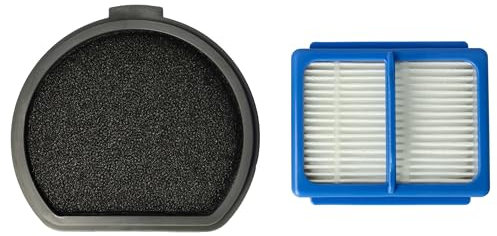 vhbw 1x Hauptfilter, 1x Vorfilter kompatibel mit AEG QX9-1-ALRG, QX9-1-ANIM, QX9, QX9-1-40GG, ASKQX9 Staubsauger