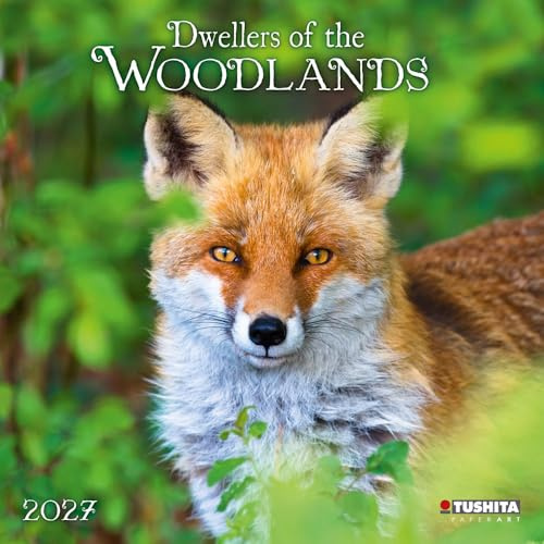 Calendrier 2027 Animaux de la foret ours renard (TS) + offert un agenda de poche