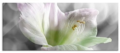 Pixxprint Glasbild Panorama, Wandbild aus Echtglas, wunderschöne Lilie, 120x50 cm, inkl. Aufhängung und Abstandshalter