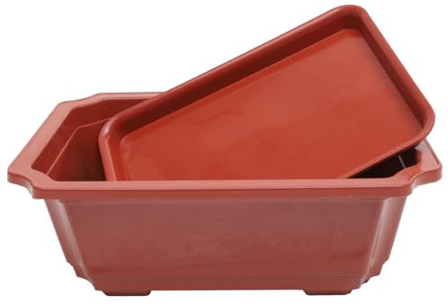 BAZEITFLOW Grand Pot De Fleurs avec Soucoupe Pot De Bonsai pour Jardinage à Domicile Et Décoration Intérieure pour Petites Plantes Et Succulentes
