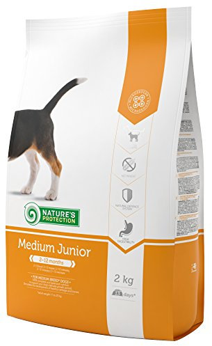 Nature's Protection Medium Junior, 1er Pack (1 x 2 kg)