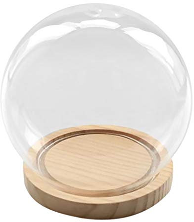 Tubayia Kugel Glasglocke Glasdom Glaskuppel mit Holz Base für Haus Büro Dekoration Geschenk (Kugel)