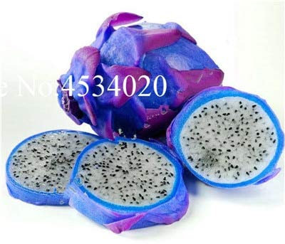 Generic Fresh 100 Stück Pitaya-Frucht SAMEN zum Pflanzen von Himmelblau
