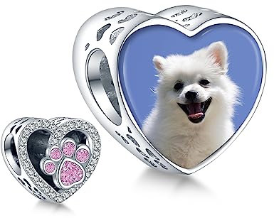 Annmors 925 Sterling Silber Charm Personalisierte Foto Anhänger fit Armband Halskette Maßgeschneiderte Herzform Mom Dog Paw Heart Bild Perle Frauen Mädchen Katzen Hunde Baby Familie