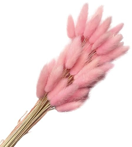 FUYTSUO 50 Stück Trockenblumen Klein Pampasgras, 43 cm Hasenschwanzgras Getrocknet Pampasgras Deko, Pampas Gras Trockenblumen Klein Pampas Gras für Deko Wohnzimmer Hochzeit (Rosa)
