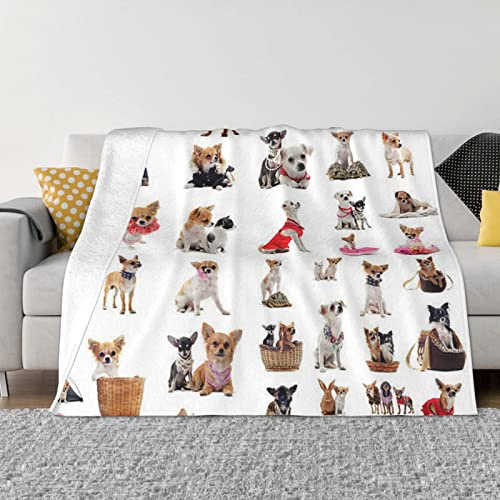 COMAAM Flanelldecke mit niedlichem Chihuahua-Mops-Muster, mehrere Größen, horizontaler Stil, Decke für Sofas und Betten