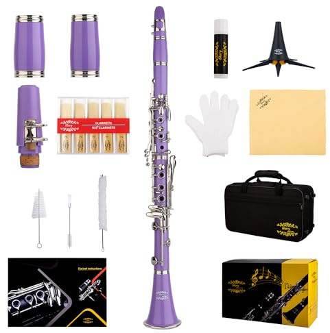 Glory GLY-CLAPUR Professionelle Ebonit-Bb-Klarinette mit 10 Blättern, Ständer, Hartschalenkoffer, Reinigungstuch, Mundstückbürste und Padbürste, lila/silber