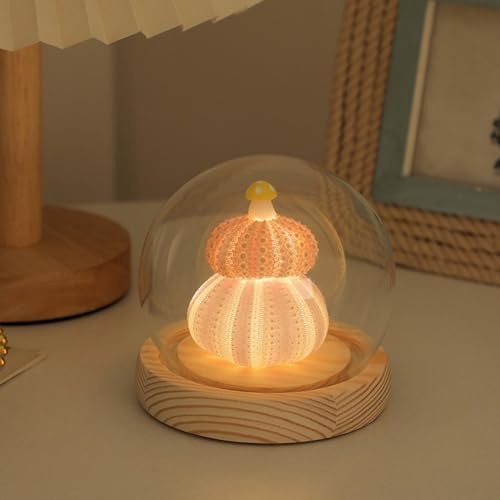belupai Seeigel-Nachtlicht, kreative Seeigel-Muschel-Nachttisch-Lampe, Tisch-Ornament, mit Glasabdeckung und Holzsockel, für Tischregal-Dekor (Doppelschale - Akkuladung)