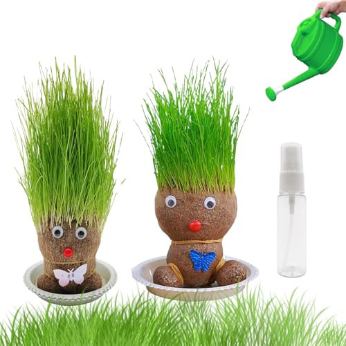 2Pcs Planta De Muñeca con Cabeza De Hierba En Crecimiento, Maceta De Cabeza De Muñeca, Planta Cabeza Hierba Que Crece En Macetas Bonsai Mini, Bonsái De Muñeca con Cabeza De Hierba con Bandeja (M2)