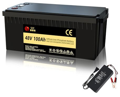 SaiJiaoYang Batteria al Litio 48V 100Ah LifePO4 con Caricatore, 5kWh 10000 Cicli Batteria LiFePO4 di Classe A con LCD e 100A BMS Ideale per Off-Grid, Camper, Sistema Solare, Barca, Camper