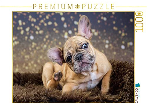 CALVENDO Puzzle French-Bullterrier | 1000 Teile Lege-Größe 64 x 48 cm Foto-Puzzle für glückliche Stunden